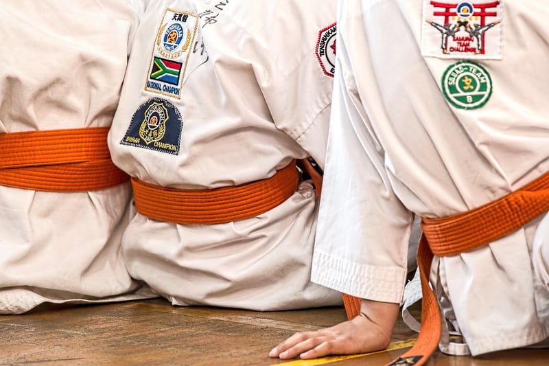 Mind-Body Martial Arts